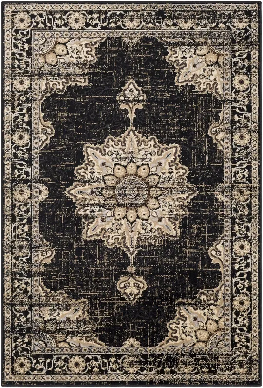 Surya Paramount PAR-1089 Black Area Rug 6&7x22 x 9&6x22