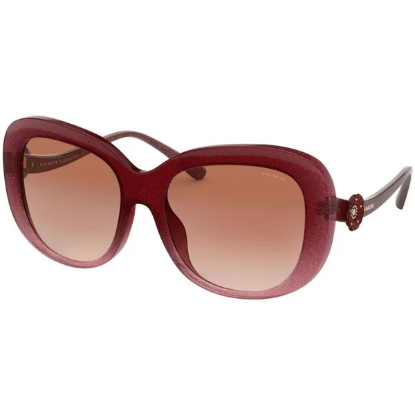 Coach Sunglasses HC8263U 55526G