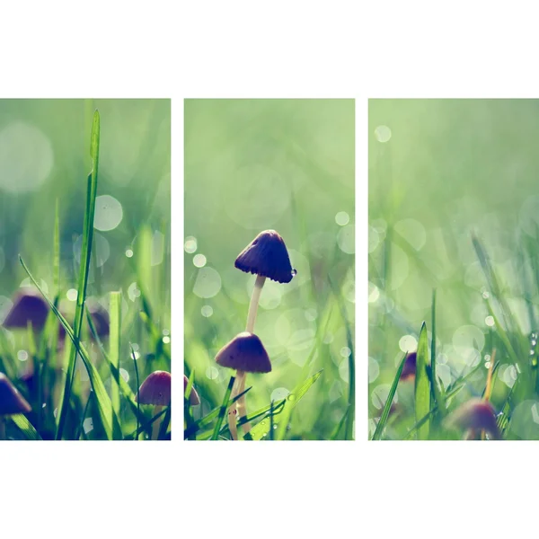 Marmont Hill 'Fairy Garden Triptych' Painting Print on Wrapped Canvas