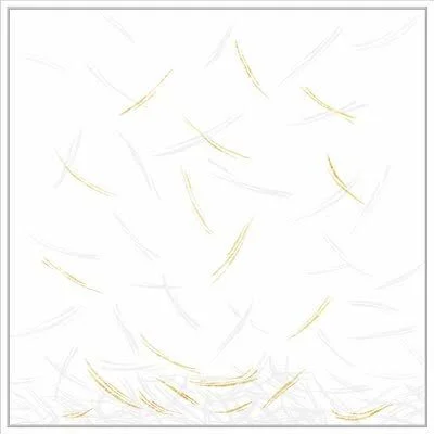 'Flutterfall White' Framed Graphic Art Print on Canvas JBass Grand Gallery Collection