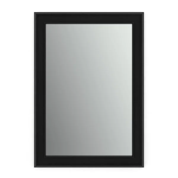 Delta 33 in. x 47 in. (L1) Rectangular Framed Mirror with Standard Glass and Easy-Cleat Flush Mount Hardware in Matte Black