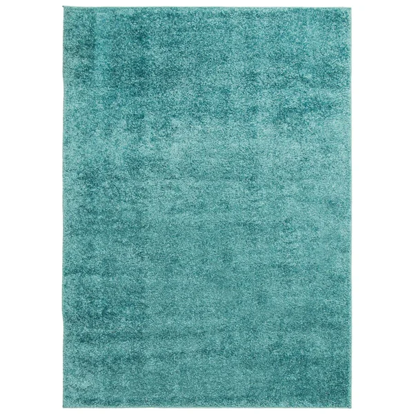 ECARPETGALLERY Cleo Shag 3'11 x 6' Accent Rug in Turquoise
