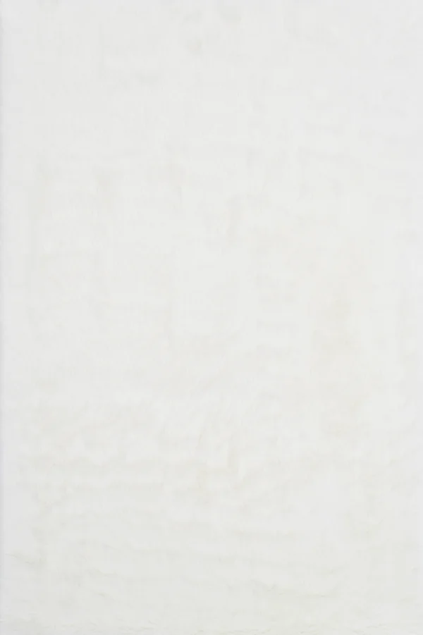Loloi Danso Shag DA-04 Ivory Area Rug - 5&0x22 x 7&6x22