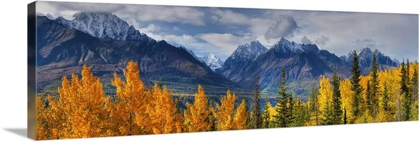 Panoramic View of The Fall Foliage and Snowcapped Chugach Mountains, Alaska, Canvas Wall Art, 36x12, Great Big Canvas