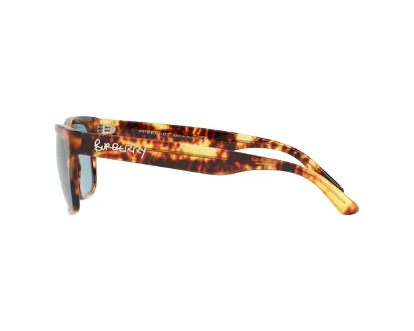 Burberry Sunglasses - Be4268 - Brown
