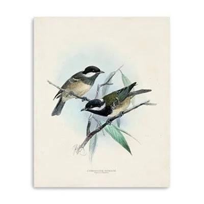Antique Birds VII Canvas Art Print, 16x20 in.