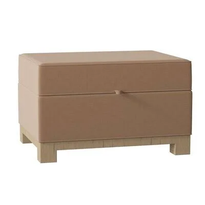Brandes Storage Ottoman Winston Porter Body Fabric: Ireland Café, Leg Color: Black