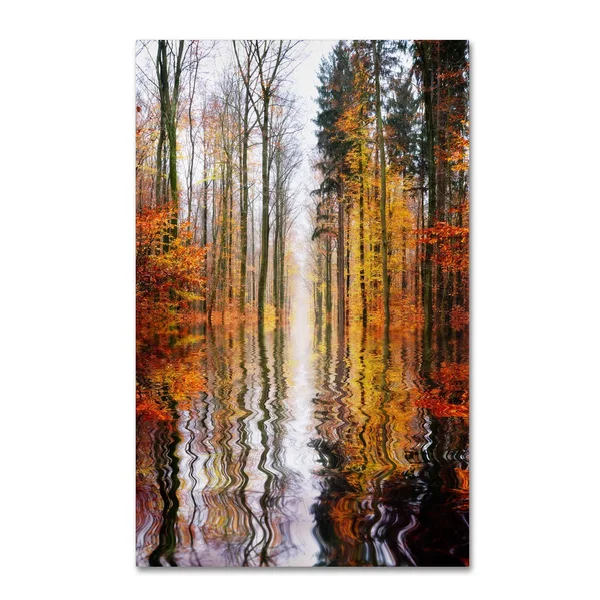 Trademark Global Philippe Sainte-Laudy &Higher Ground& Canvas Art
