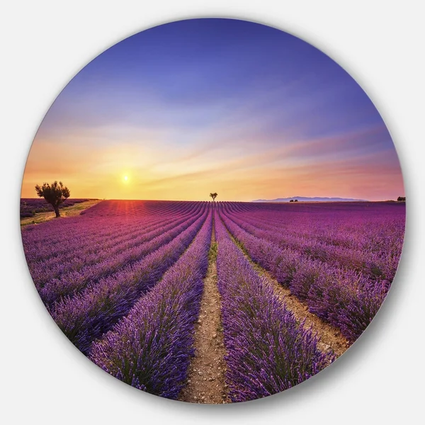 Design Art 'Lavender Field in Provence France' Photographic Print on Metal - Blue