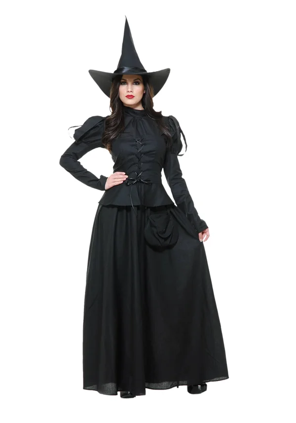 Adult Wicked Witch Costume S