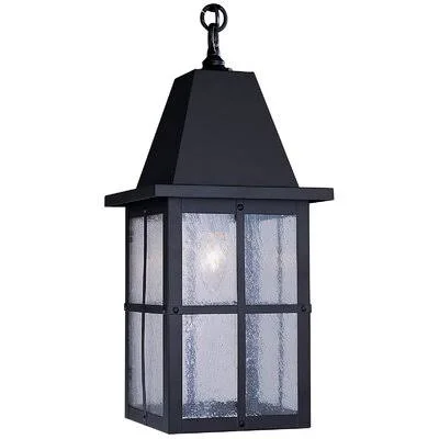 Hartford 1-Light Outdoor Hanging Lantern Slate 20.5x22 H x 8x22 W