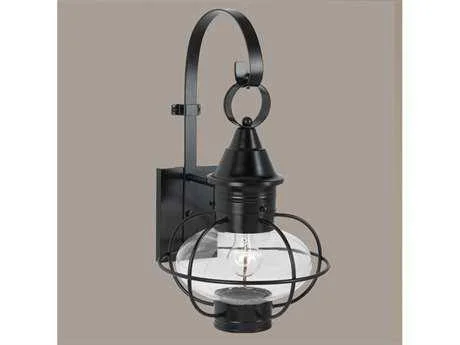 Norwell Vidalia Onion Large Outdoor Wall Light Gun Metal, Clear - 1609-GM-CL