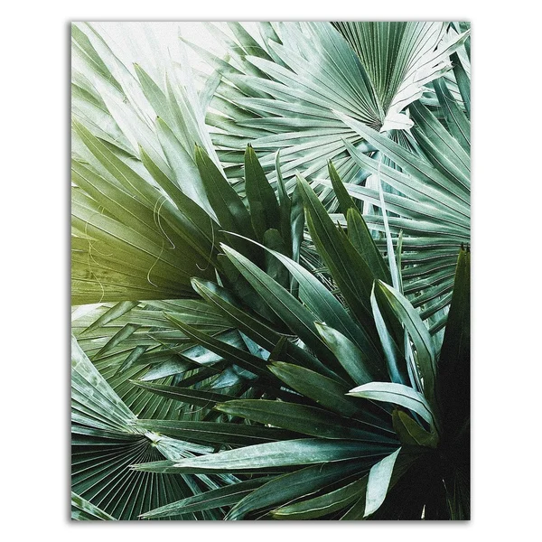 Tangletown Fine Art 30x22 x 24x22 Leaf II by Incado Print on Canvas