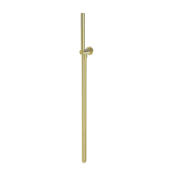 Newport Brass 280R/01 Hand Shower Set - Forever Brass (PVD)