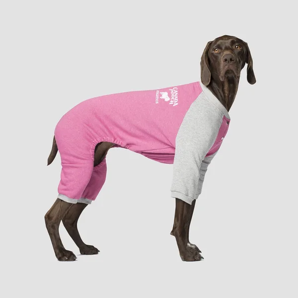 Canada Pooch Frosty Fleece Sweatsuit - Pink - Vendor