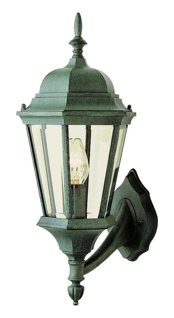 Trans Globe Lighting 4250 BG Outdoor Wall Light in Black Gold