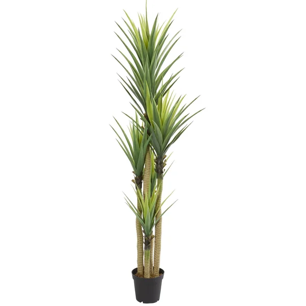 Nearly Natural Dracaena Artificial Plant - Green