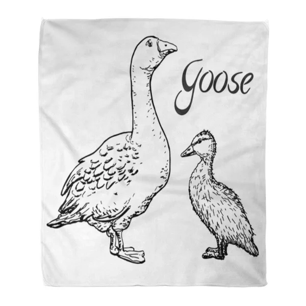 Ashleigh Throw Blanket Warm Cozy Print Flannel Agriculture Goose and Gosling Sketch Artistic Comfortable Soft for Bed Sofa and C