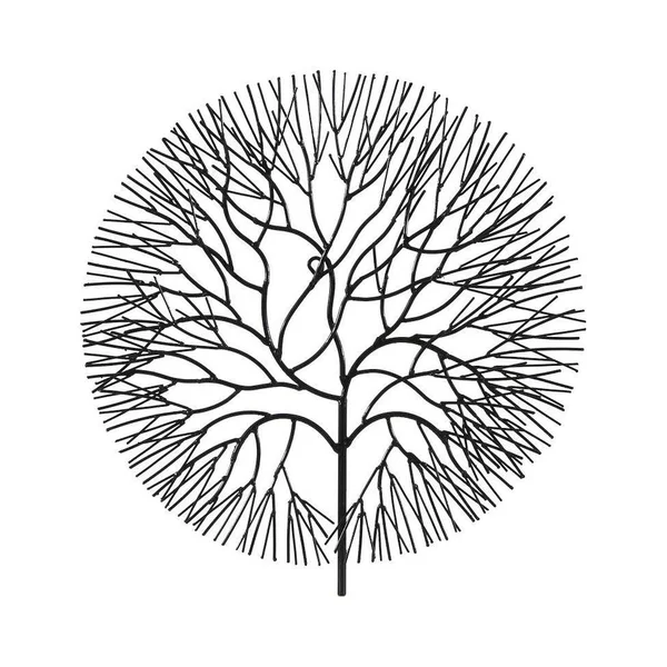 Wire Tree Wall D閏or Phillips Collection Size: 21x22 H x 20x22 W x 2x22 D