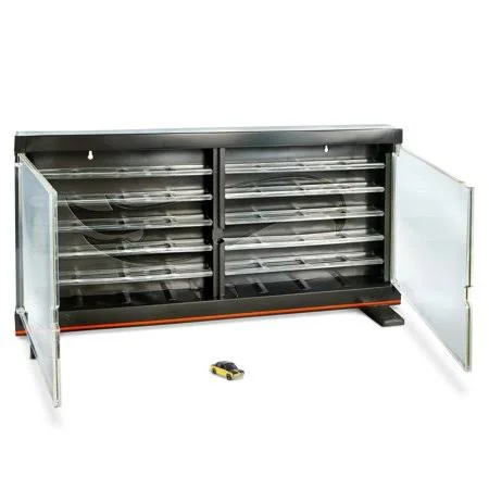 Hot Wheels Display Case Vehicle