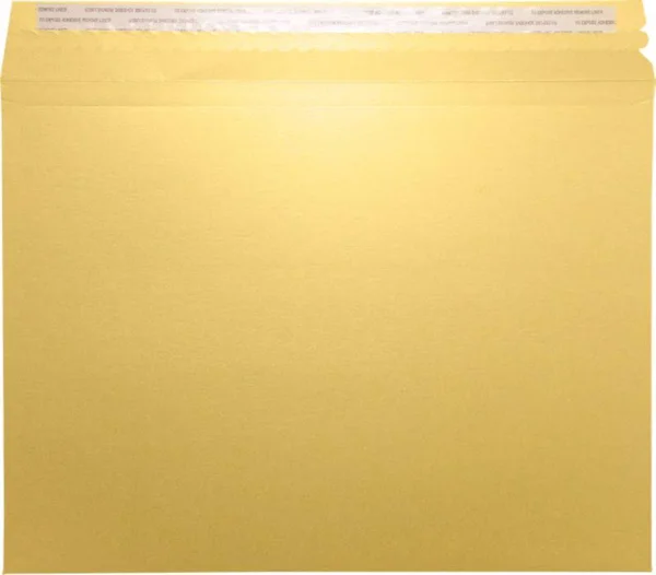 Lux Mailers (9 1/2 x 12 1/2) - Gold Metallic - Pack of 10 - Printed or Plain Envelopes