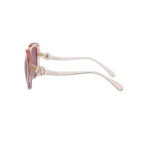 Coach Sunglasses HC8263U 55526G