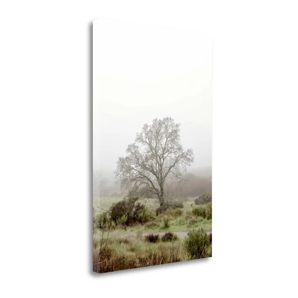Tangletown Fine Art 'Oak Tree - 56' Photographic Print on Wrapped Canvas - Green