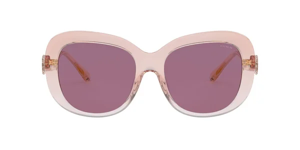 Coach Sunglasses HC8263U 55526G