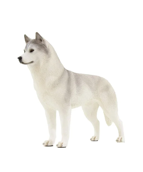 Petorama Handmade Husky Resin Statue 1-6 in Gray - 20170015001
