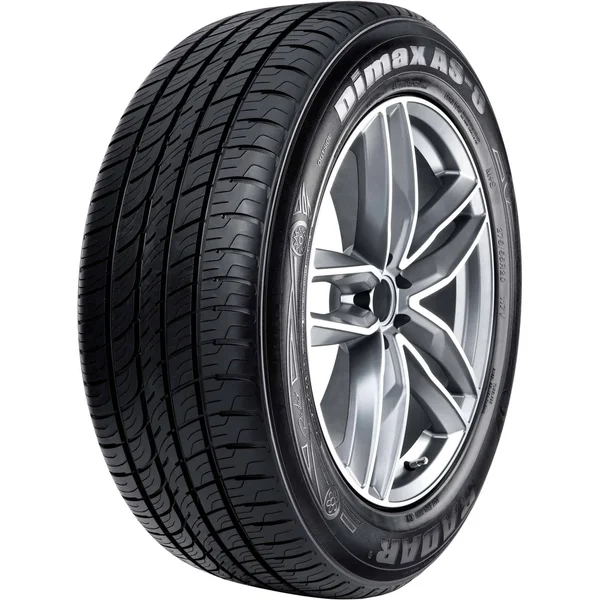 Radar Dimax AS-8 225/60R17 103V bsw Tire