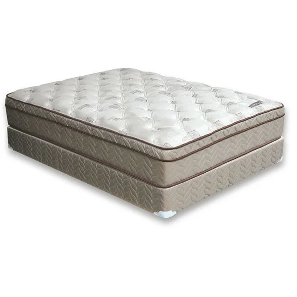 Furniture of America Sandroman 13x22 Full Euro Top Coil Mattress