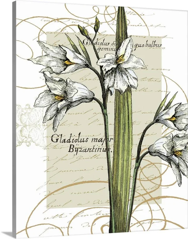 Florilegium IV - Canvas Wall Art, 24x30, Great Big Canvas
